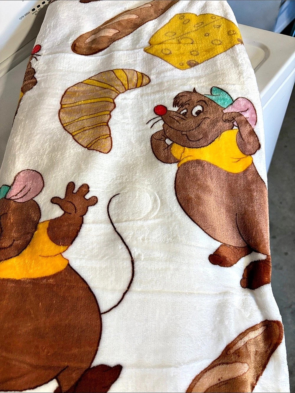 Disney Princess Cinderella Plush Throw Blanket White & Brown